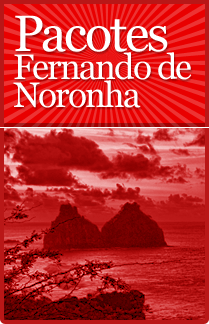 Pacotes para mergulho saindo de Fernando de Noronha